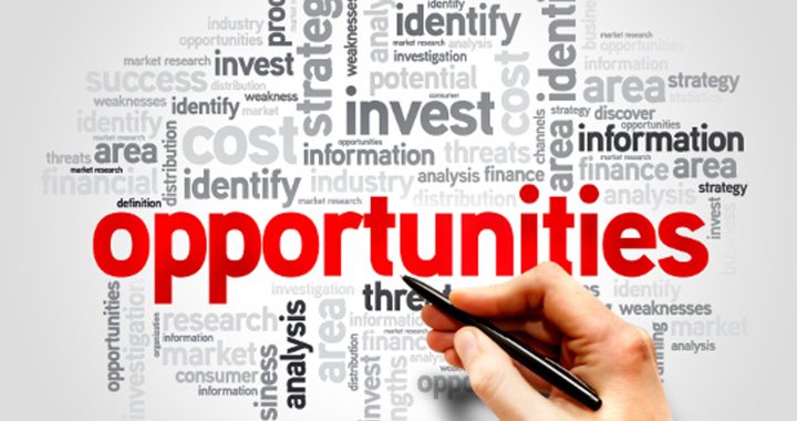 A Guide to Opportunity Assessment in Purchasing