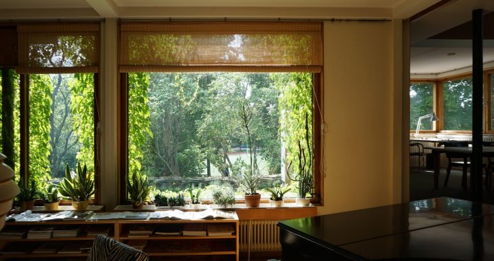 Escape to the Garden: Why Garden Rooms Are the Next Big Thing